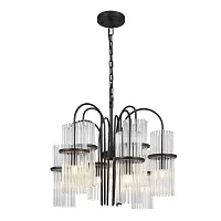 Люстра подвесная Тасз (Tasse) SL6145.403.09 ST-Luce прозрачная на 9 ламп, основание чёрное в стиле современный Люстра подвесная Тасз (Tasse) SL6145.403.09 ST-Luce прозрачная на 9 ламп, основание чёрное в стиле современный